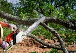 Soil Testing and Treatment in Elgin, SC